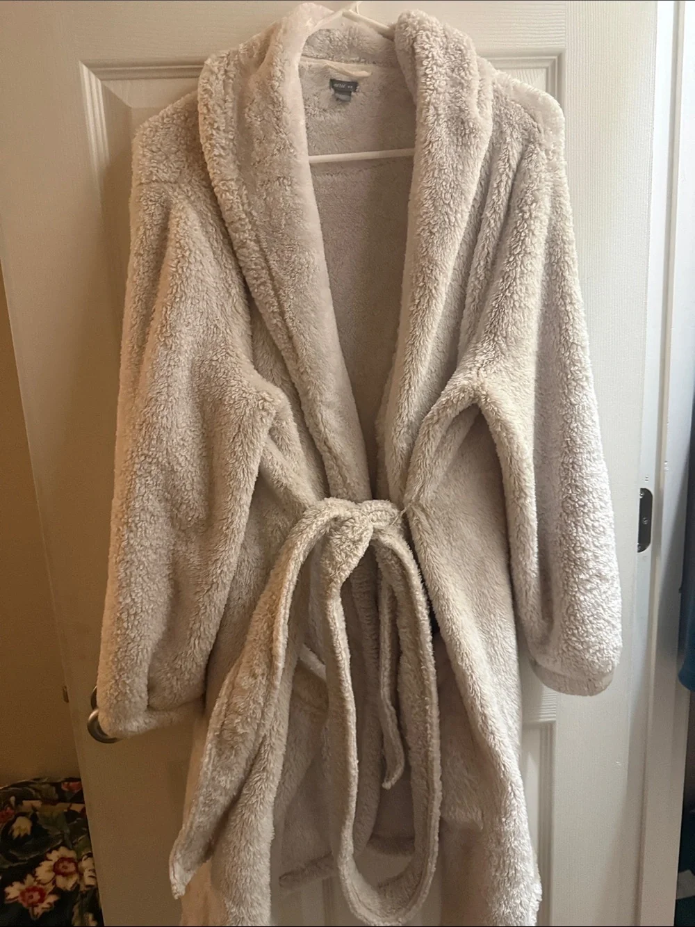 aerie Plush Shawl-Collar Teddy Jacket - Cream